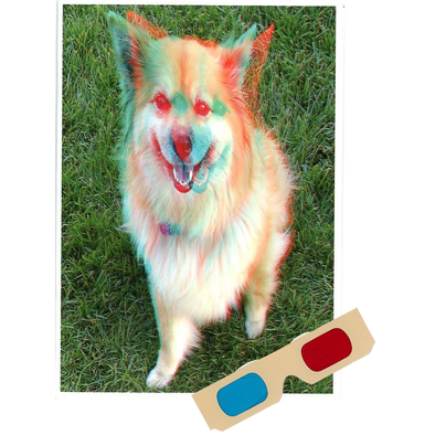 Akita (Dog) - Phantogram Greeting Card - with 3D Glasses - Image Pops Up from the Card - Unique 3D - NEW