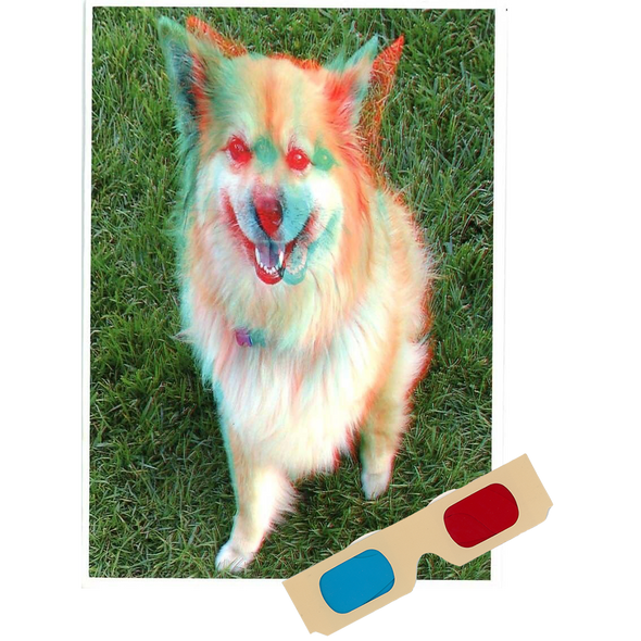 Akita (Dog) - Phantogram Greeting Card - with 3D Glasses - Image Pops Up from the Card - Unique 3D - NEW