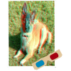 Belgian Tervueren (Dog) - Phantogram Greeting Card - with 3D Glasses - Image Pops Up from the Card - Unique 3D - NEW