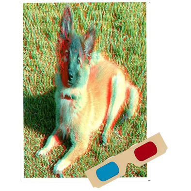 Belgian Tervueren (Dog) - Phantogram Greeting Card - with 3D Glasses - Image Pops Up from the Card - Unique 3D - NEW