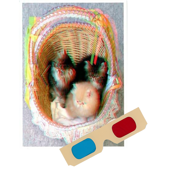 Persian Kittens in Basket - Phantogram Greeting Card - with 3D Glasses - Image Pops Up from the Card - Unique 3D - NEW