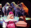 Sesame Street Circus Fun - View-Master 3 reel set - vintage