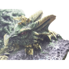 Dragon Trinket Box - Meticulous Detail Geode inside  - NEW
