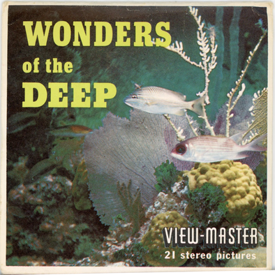 ViewMaster - Seaquarium No. 1 - Miami, Florida - A966 - Vintage - 3 Re –  worldwideslides