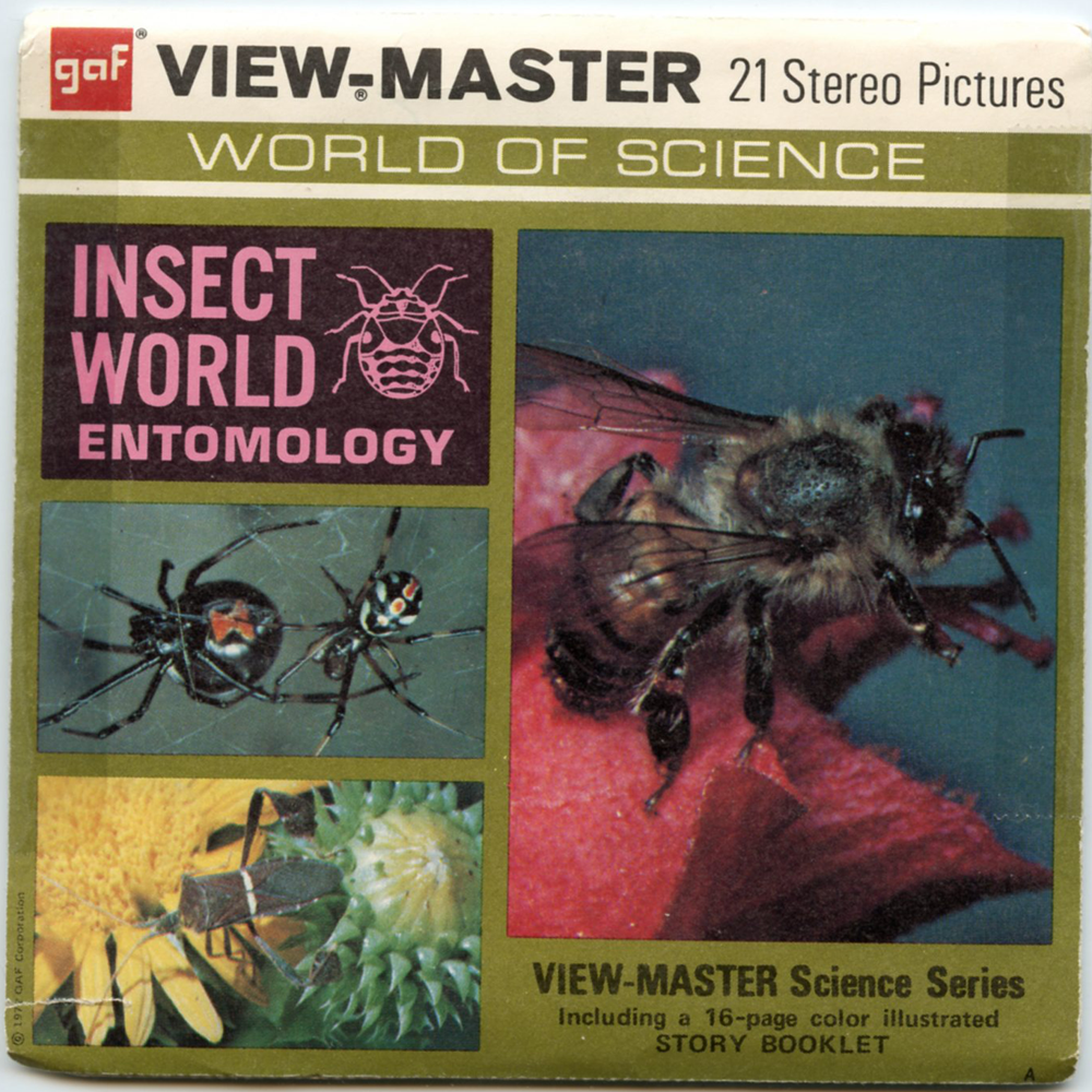  Discovery Channel - Bugs, into The Insect World - Classic  ViewMaster - 3 Reels on Card - New : Toys & Games