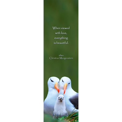 ALBATROSS FAMILY - 3D Lenticular Bookmark