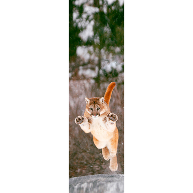 COUGAR - 3D Lenticular Bookmark