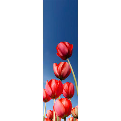 TULIPS 2 - 3D Lenticular Bookmark