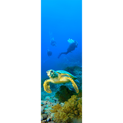 HAWKSBILL TURTLE - 3D Clip-On Lenticular Bookmark