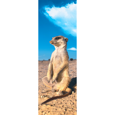MEERKAT 2 - 3D Clip-On Lenticular Bookmark