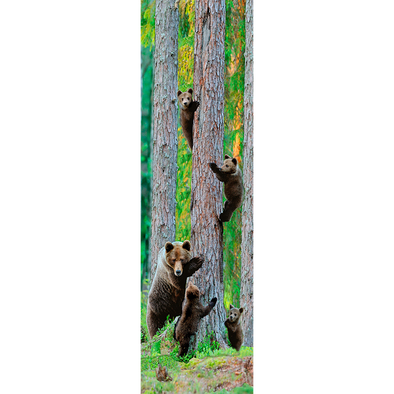 GRIZZLY BEAR FAMILY - 3D Lenticular Bookmark