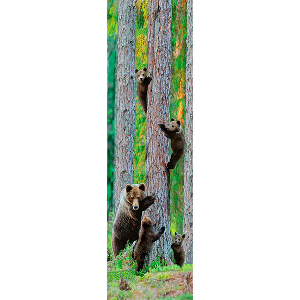 GRIZZLY BEAR FAMILY - 3D Lenticular Bookmark