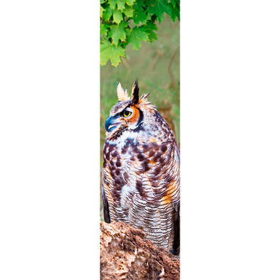 OWL - 3D Animated Lenticular Bookmark