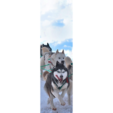 SLED DOGS - 3D Lenticular Bookmark