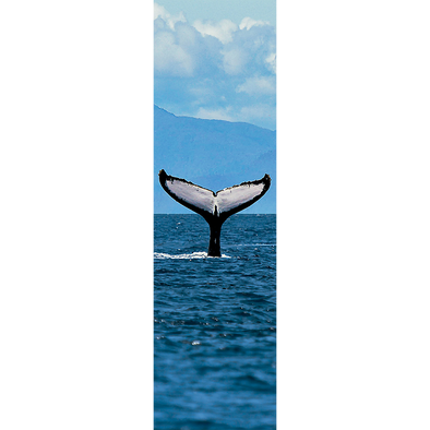 WHALE FLUKE - 3D Lenticular Bookmark