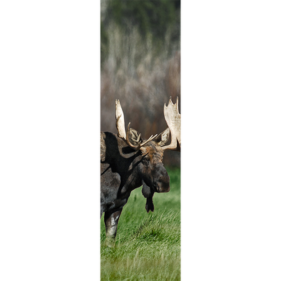 MOOSE - 3D Lenticular Bookmark