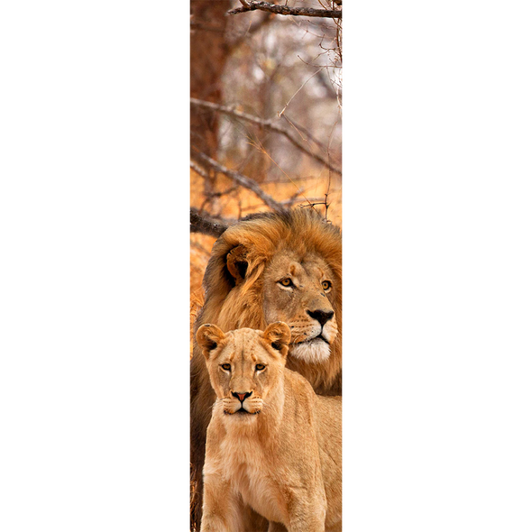 LIONS  - 3D Lenticular Bookmark