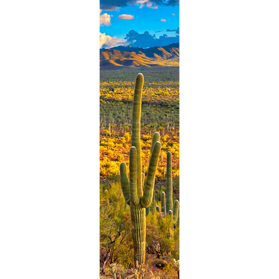 SAGUARO CACTUS - 3D Lenticular Bookmark