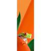 RED EYED TREE FROG - 3D Clip-On Lenticular Bookmark