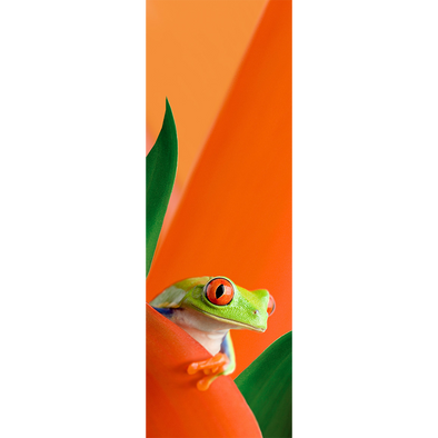 RED EYED TREE FROG - 3D Clip-On Lenticular Bookmark