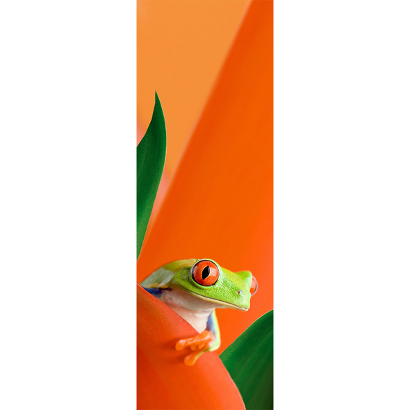 RED EYED TREE FROG - 3D Clip-On Lenticular Bookmark