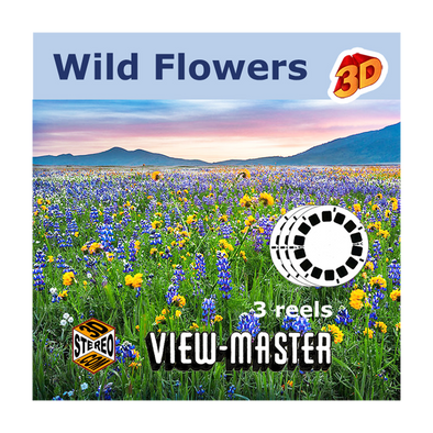 View-Master Wildflowers  - Vintage - 1950s views