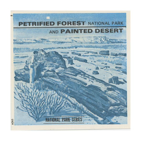 Petrified Forest National Park & Painted Desert - View-Master 3 Reel Packet - 1980's views - vintage - (A365-V1)