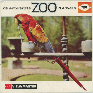 Antwerpse Zoo d'Anvers - View-Master 3 Reel Packet - 1960s views - vintage - (C372-BG1)