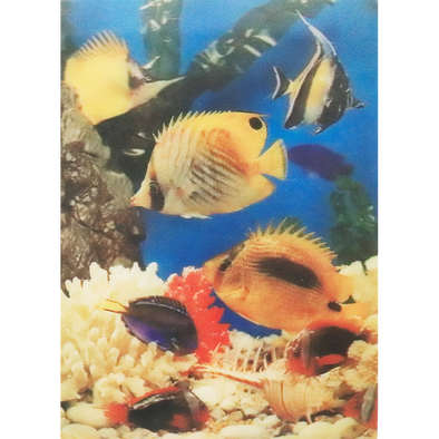 Aquarium Fish - 3D Lenticular Poster - 12 X 16