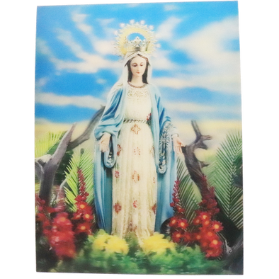 Lady of Grace - 3D Lenticular Poster - 12 X 16