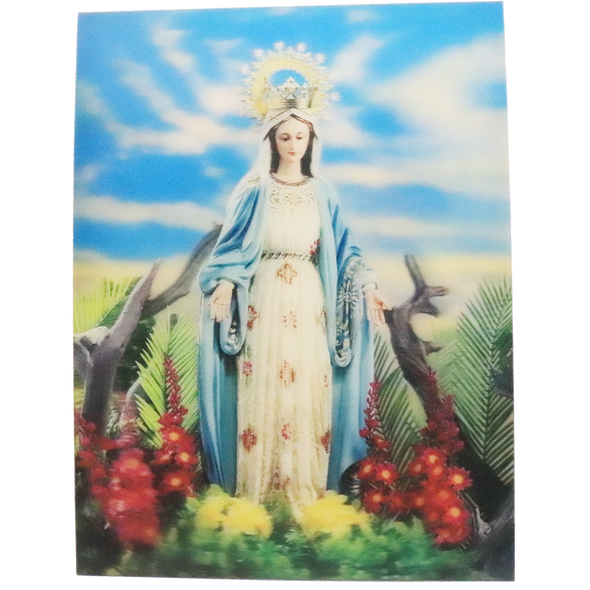 Lady of Grace - 3D Lenticular Poster - 12 X 16