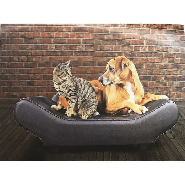 Cat and Dog Sitting on Couch- 3D Lenticular Poster - 12x16 -  NEW