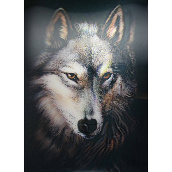 Wolf Face - Close Up & Personal - 3D Lenticular Poster - 12x16 Print