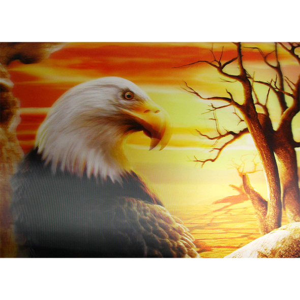 Eagle with a Sunset as background - 3D Lenticular Poster - 12x16 Print