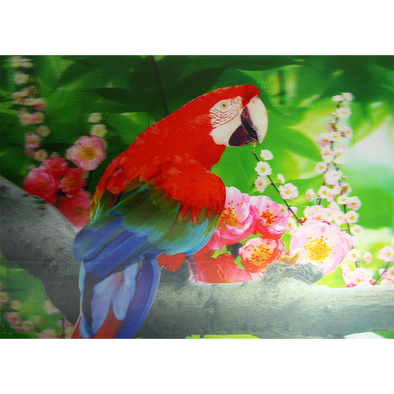 Colorful PARROT with Flowers - 3D Lenticular Poster - 12x16 Print