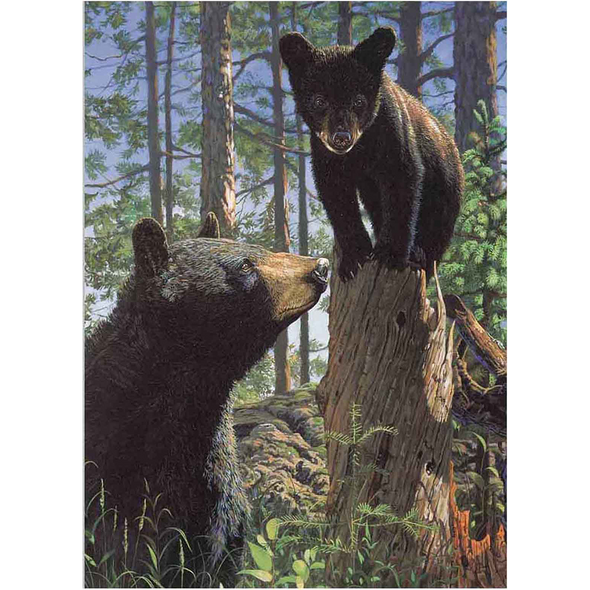 Mother bear and cub   - 3D Lenticular Poster - 12x16 Print