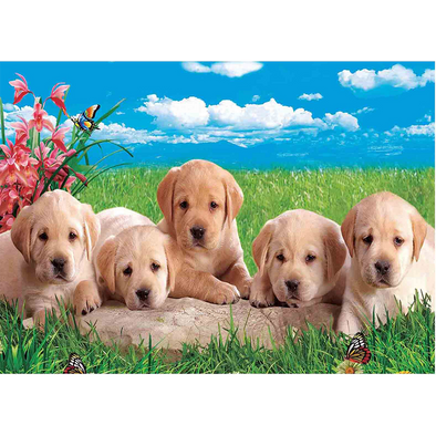 Labrador Pups - 3D Lenticular Poster - 12x16 Print