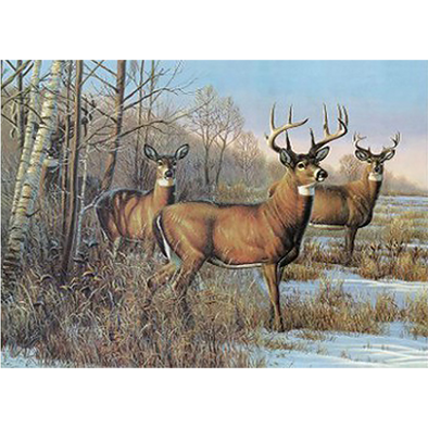 Deer near Stream - 3D Lenticular Poster - 12x16 Print