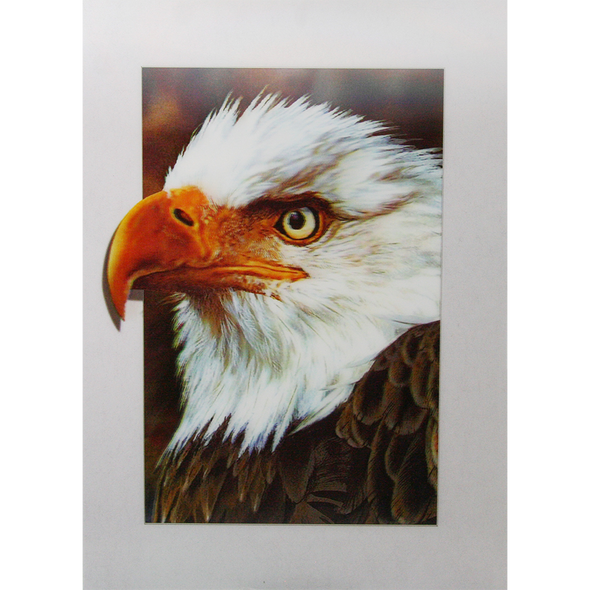 Bald Eagle Face - 3D Lenticular Poster - 12x16 Print