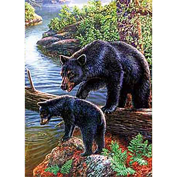 Black Bear with cub - Triple Views - 3D Action Lenticular Poster - 12x16 - 3 Prints in 1