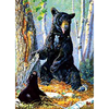 Black Bear with cub - Triple Views - 3D Action Lenticular Poster - 12x16 - 3 Prints in 1