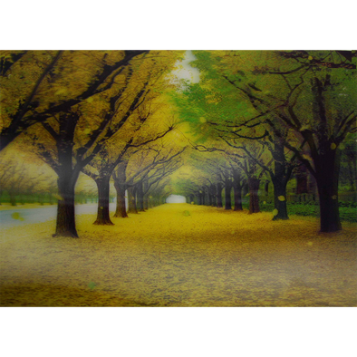 Tree Alley with Falling Leaves - 3D Lenticular Poster - 10 X 14