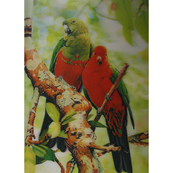 Two Colorful Parrots - 3D Lenticular Poster - 10 X 14