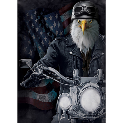 Patriotic Eagle on Bike - 3D Lenticular Poster - 12x16 Print