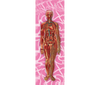 Woman's Body Anatomical - Animated - 3D Animated Lenticular Bookmark - NEW