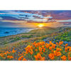 Big Sur - 3D Action Lenticular Greeting Card - NEW