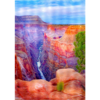 Grand Canyon and Colorado River - 3D Lenticular Postcard Greeting Card - NEW