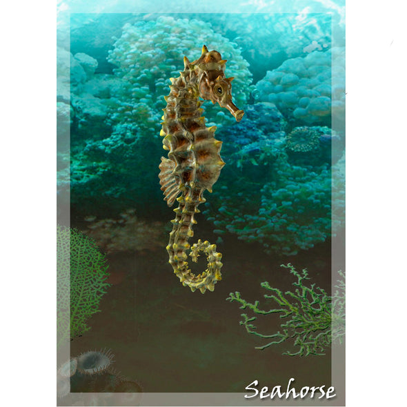 Seahorse - 3D Lenticular Postcard Greeting Card