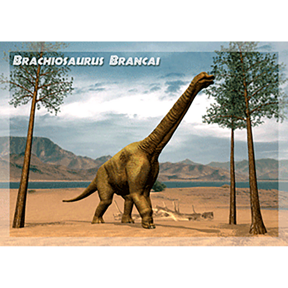 Brachiosaurus - Dinosaur - 3D Action Lenticular Postcard Greeting Card - DISCONTIUED