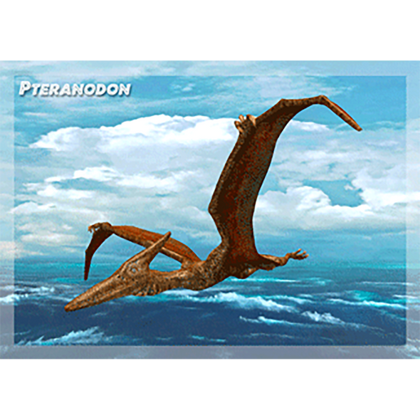 Pteranodon - Dinosaur - 3D Action Lenticular Postcard Greeting Card